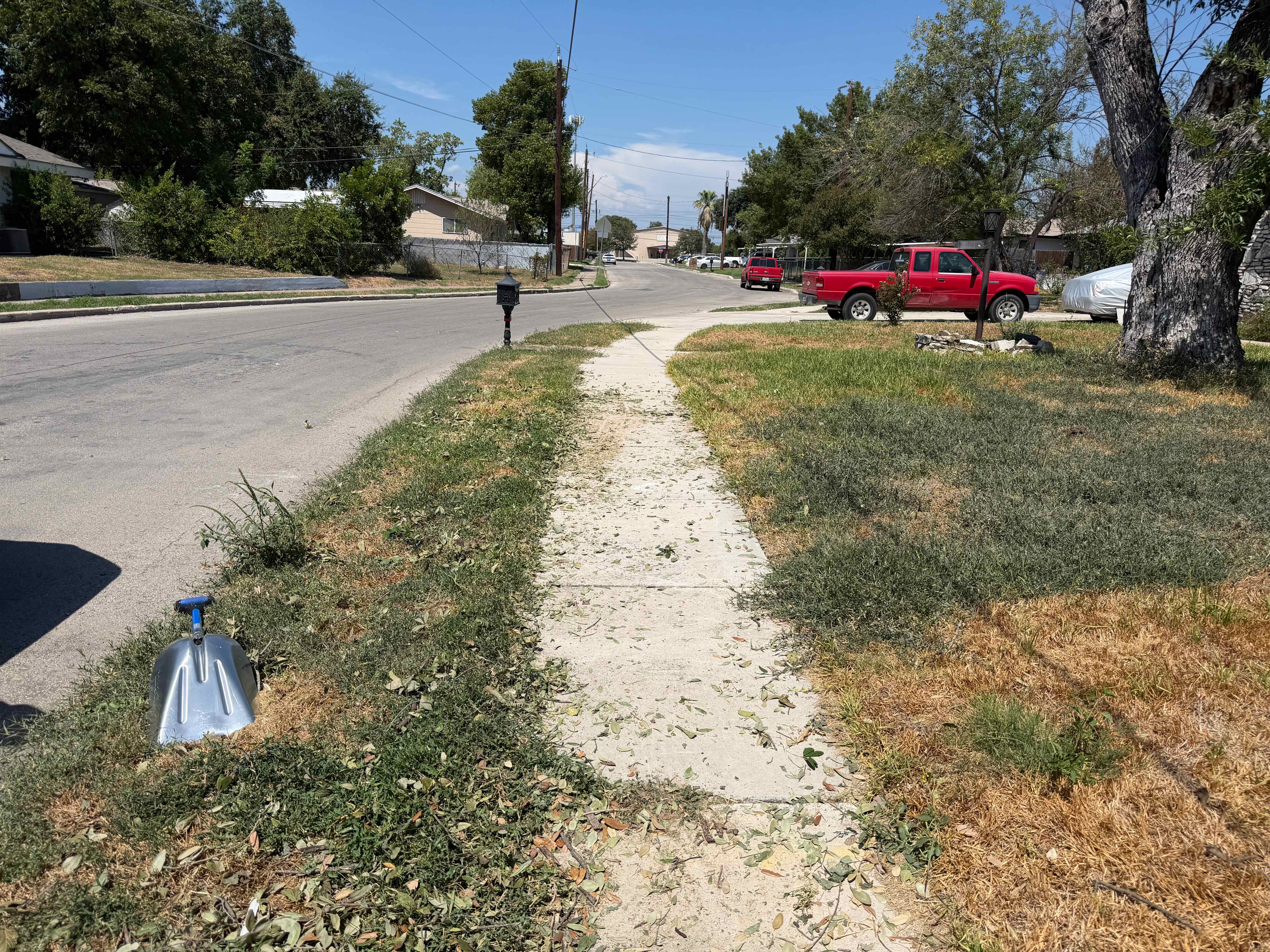 After: curbside pile of cut brush and tree limbs