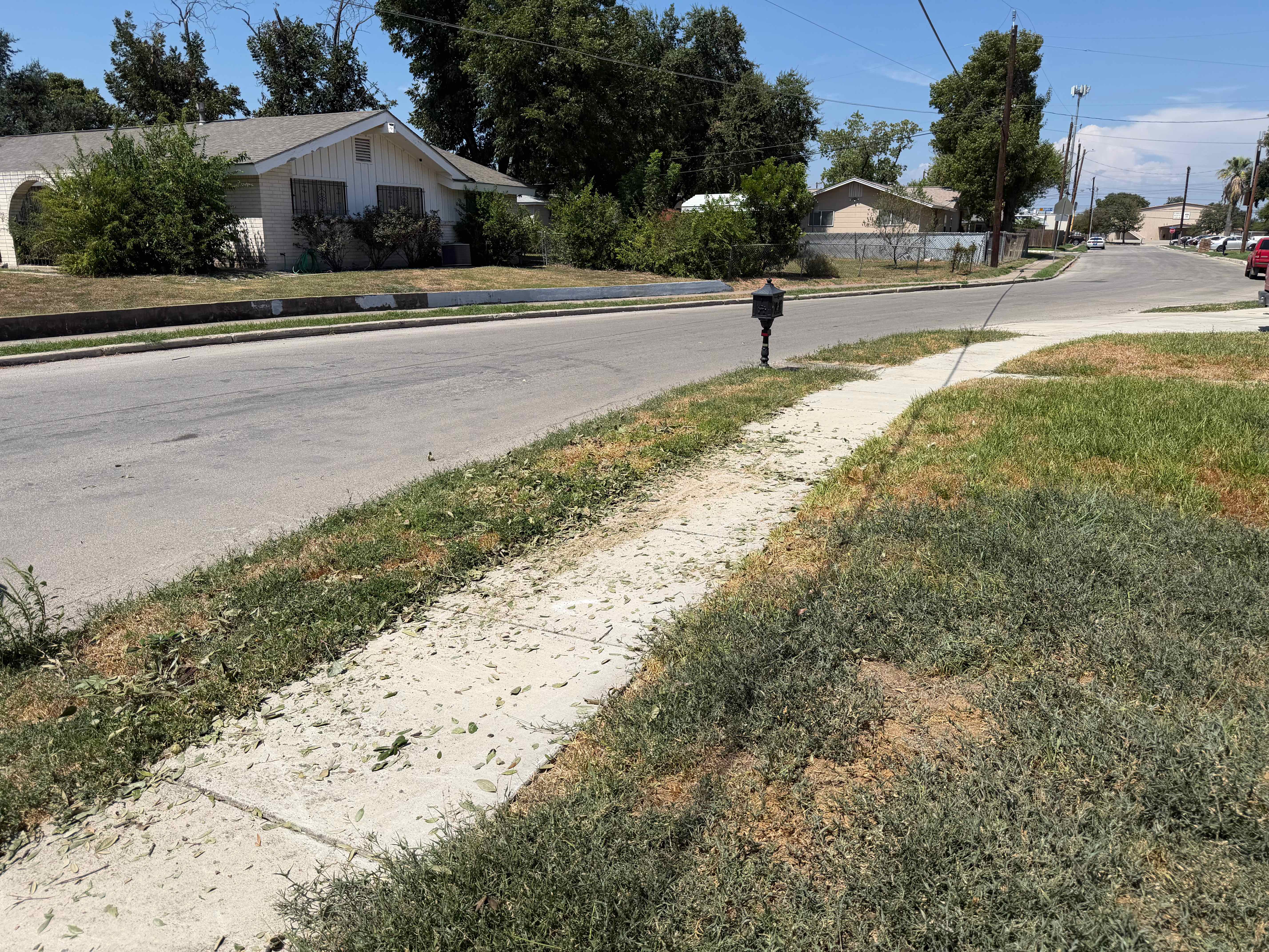 After: brush stacked along the sidewalk