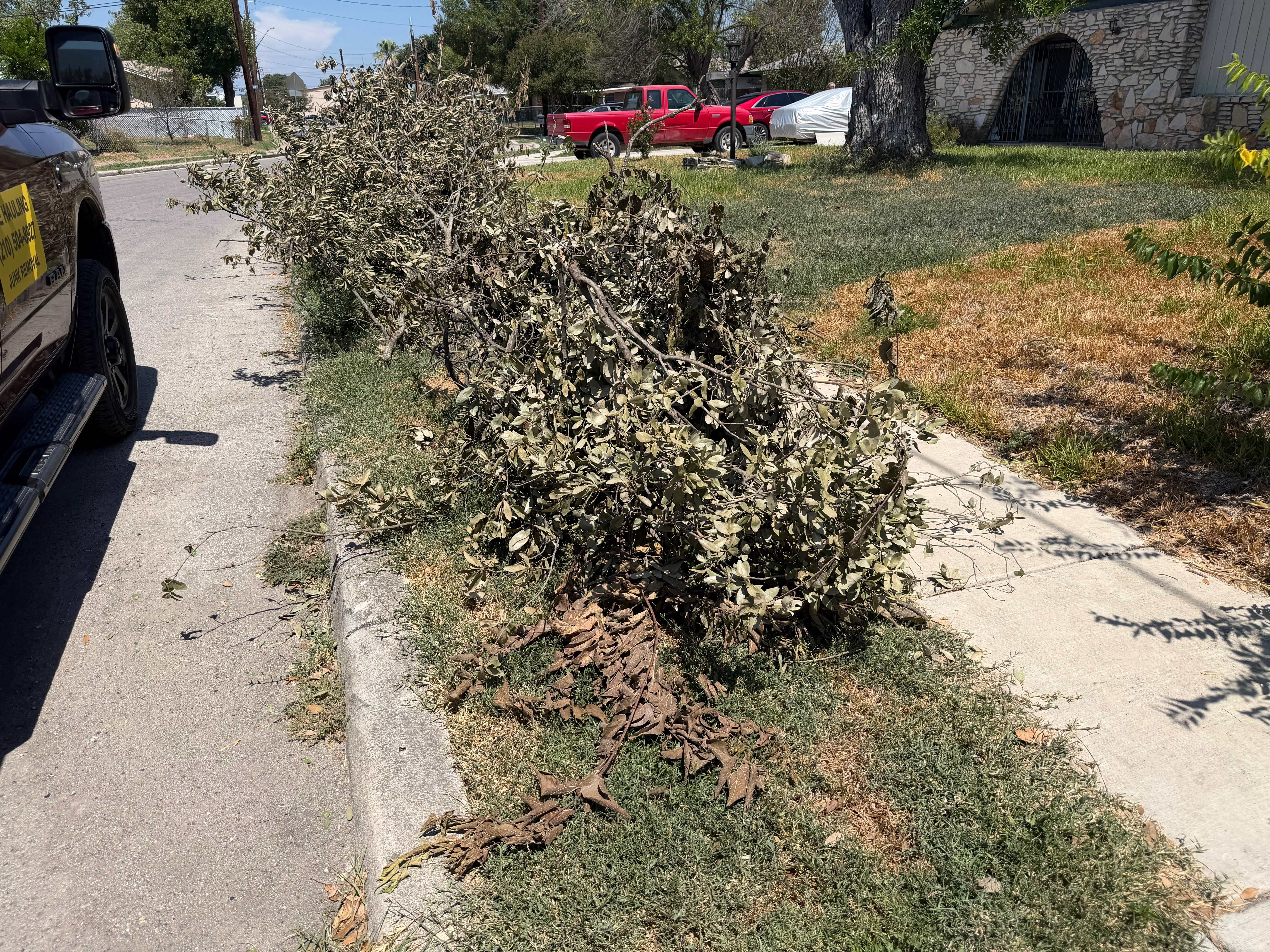 Before: curbside pile of cut brush and tree limbs