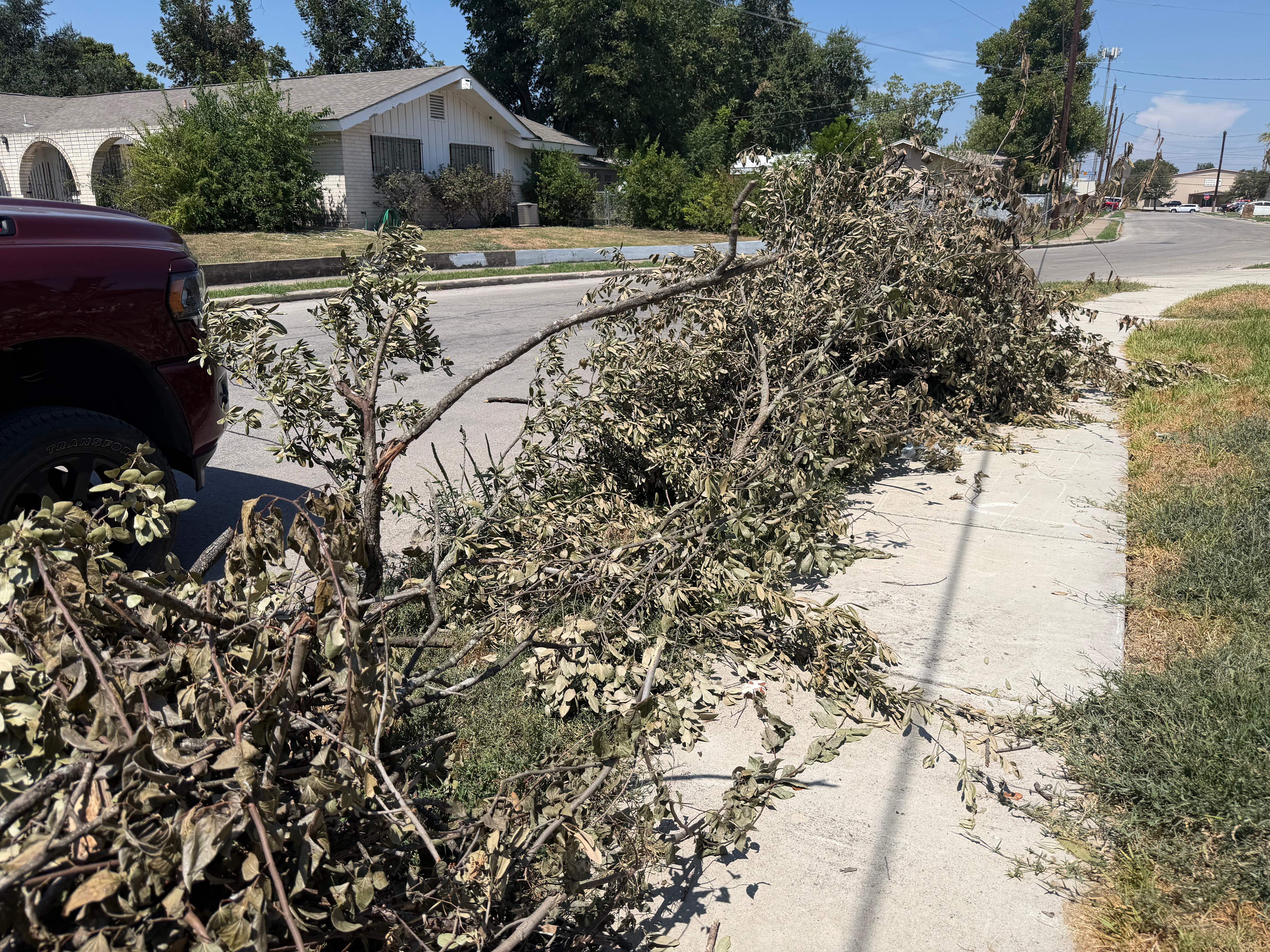 Before: brush stacked along the sidewalk